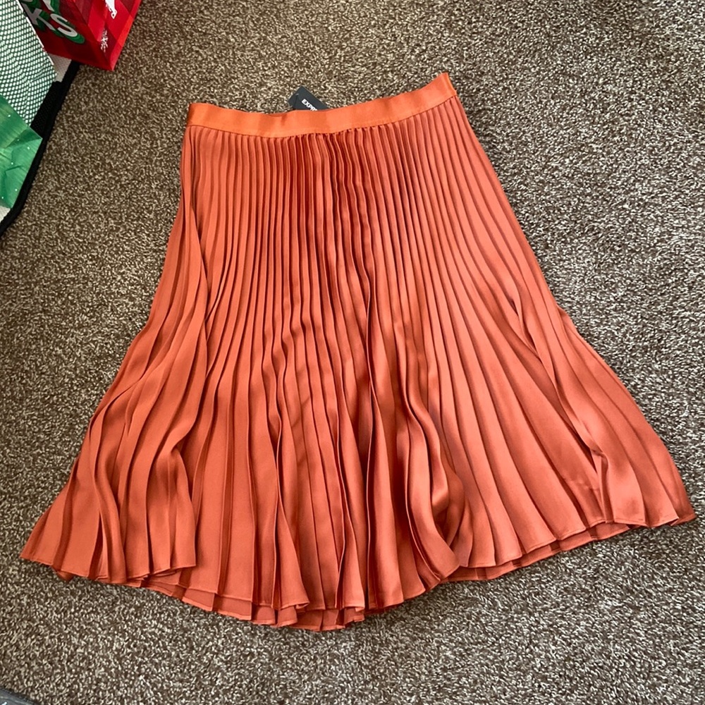 Express Burnt Orange Satin Skirt. Size M NWT